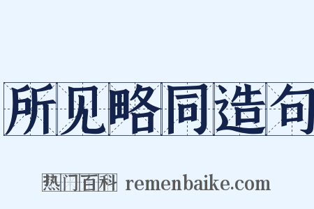所见略同造句是什么意思的图片
